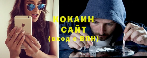 ГАЛЛЮЦИНОГЕННЫЕ ГРИБЫ Аркадак