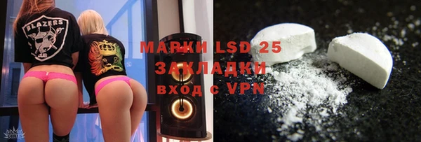 ГАЛЛЮЦИНОГЕННЫЕ ГРИБЫ Аркадак