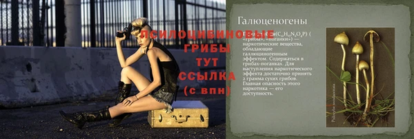 индика Армянск