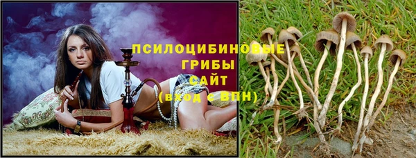 индика Армянск