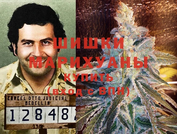 ГАЛЛЮЦИНОГЕННЫЕ ГРИБЫ Аркадак