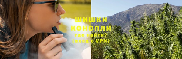 индика Армянск