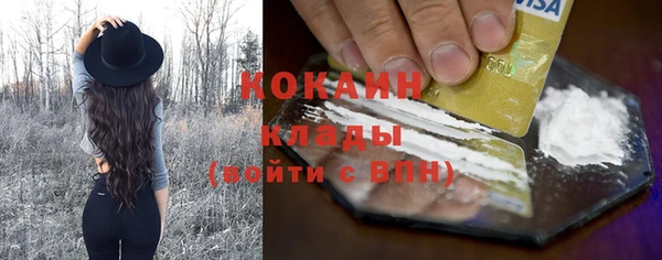 ГАЛЛЮЦИНОГЕННЫЕ ГРИБЫ Аркадак